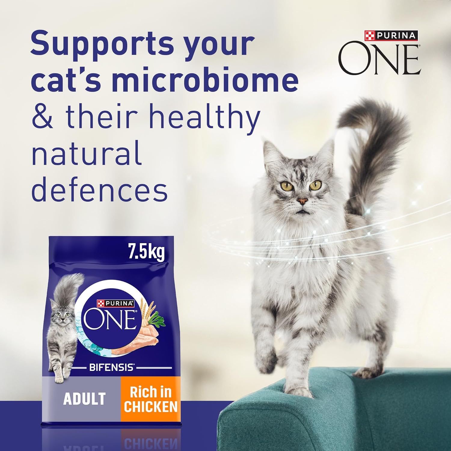 PURINA ONE Adult Dry Cat Food - Rich in Chicken 7.5KG