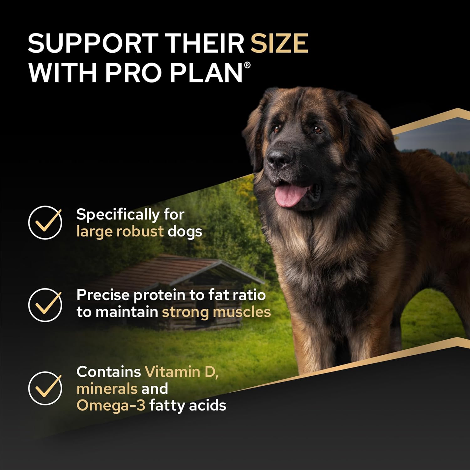 PRO PLAN Large Robust Adult Everyday Nutrition Chicken Dry Dog Food 14kg
