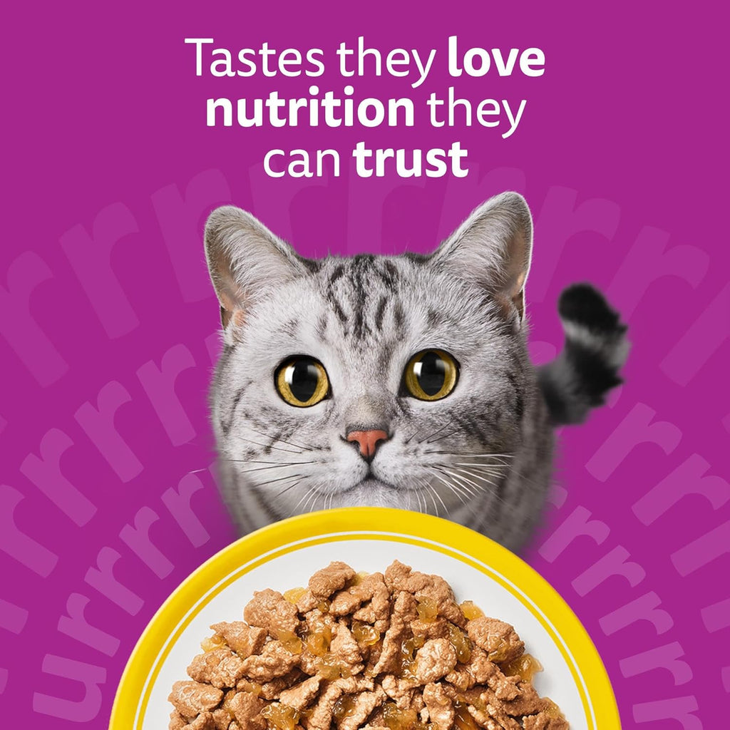 WHISKAS Adult Wet Cat Food in Jelly 40x85g Poultry Feasts