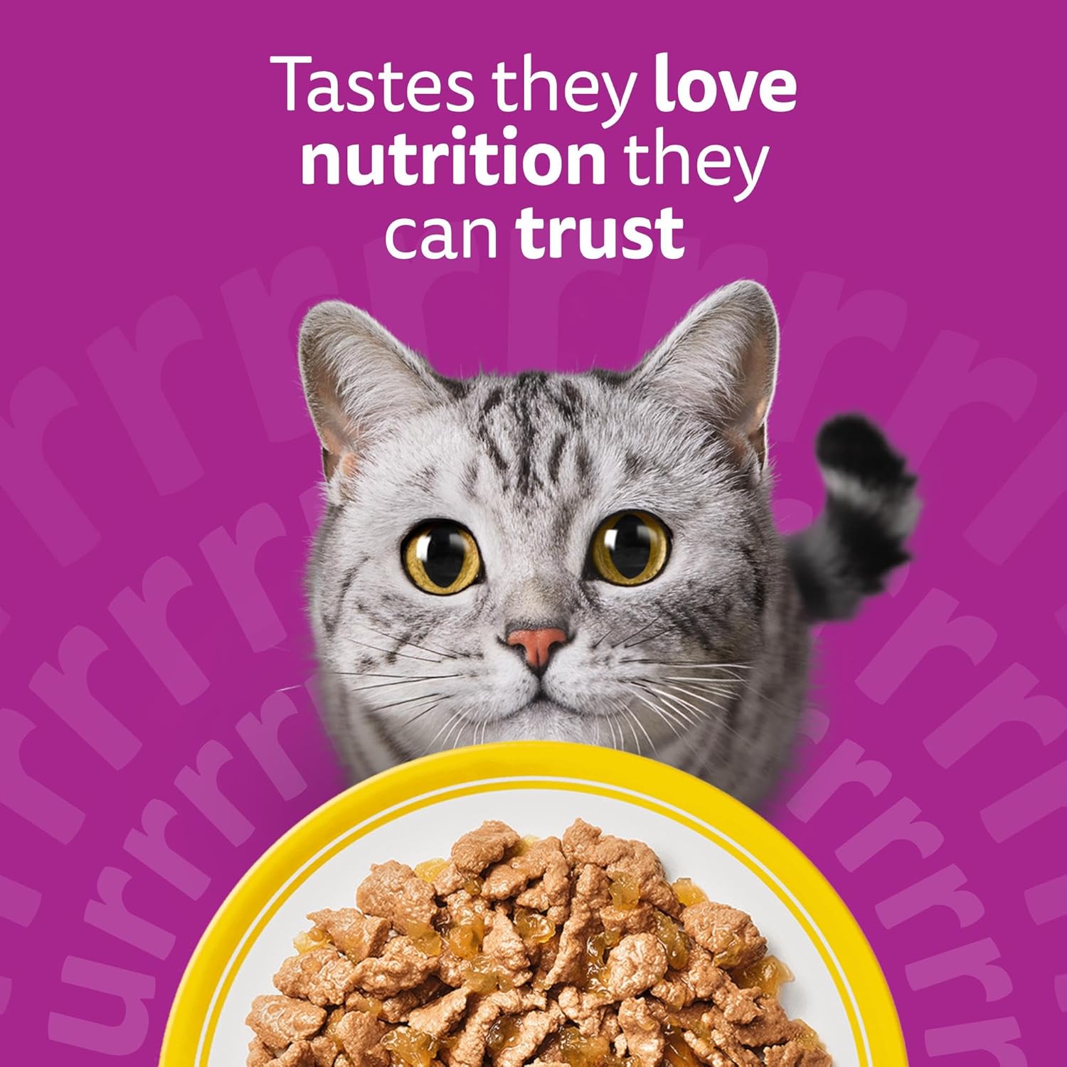 WHISKAS Adult Wet Cat Food in Jelly 40x85g Poultry Feasts