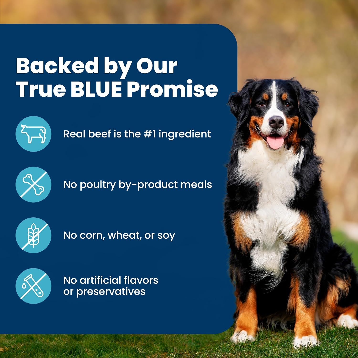 Blue Buffalo Life Protection Formula Beef & Brown Rice Adult Dry Dog Food, Supports Immunity with Antioxidant-Rich LifeSource Bits, Promotes Healthy Muscle Development, Skin & Coat Health, 5 lbs.