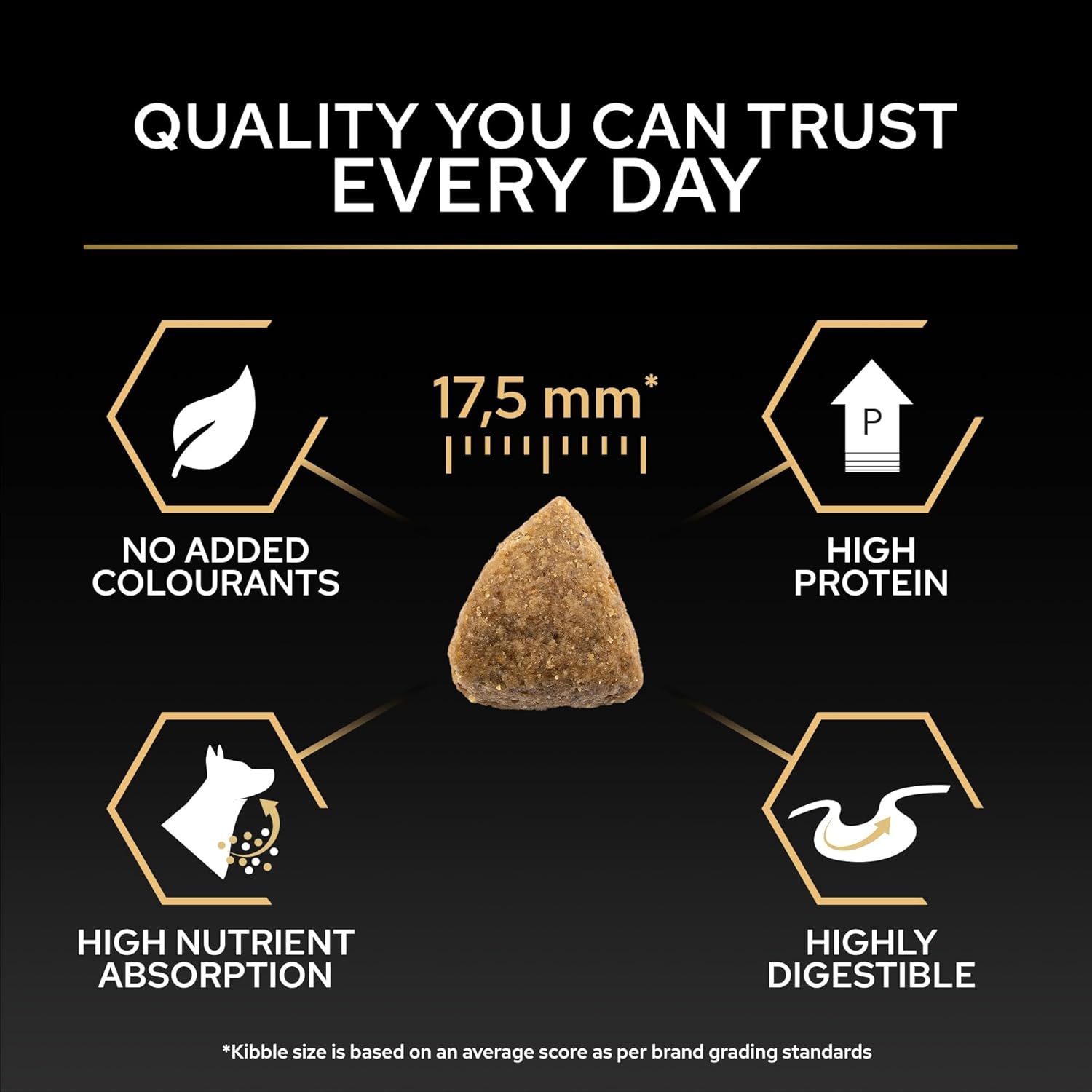 PRO PLAN Large Robust Adult Everyday Nutrition Chicken Dry Dog Food 14kg