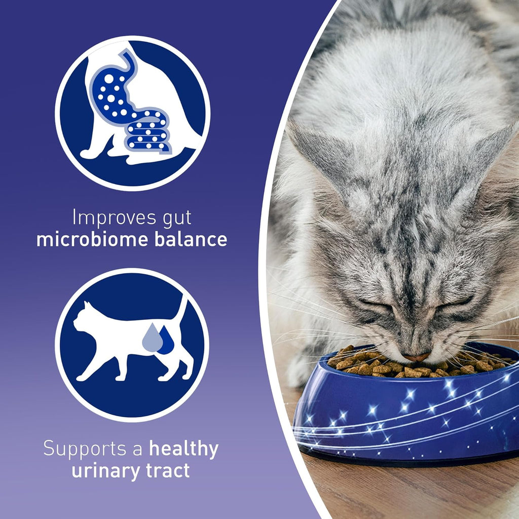 PURINA ONE Adult Dry Cat Food - Rich in Chicken 7.5KG